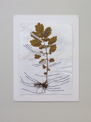 Image 15 of 19