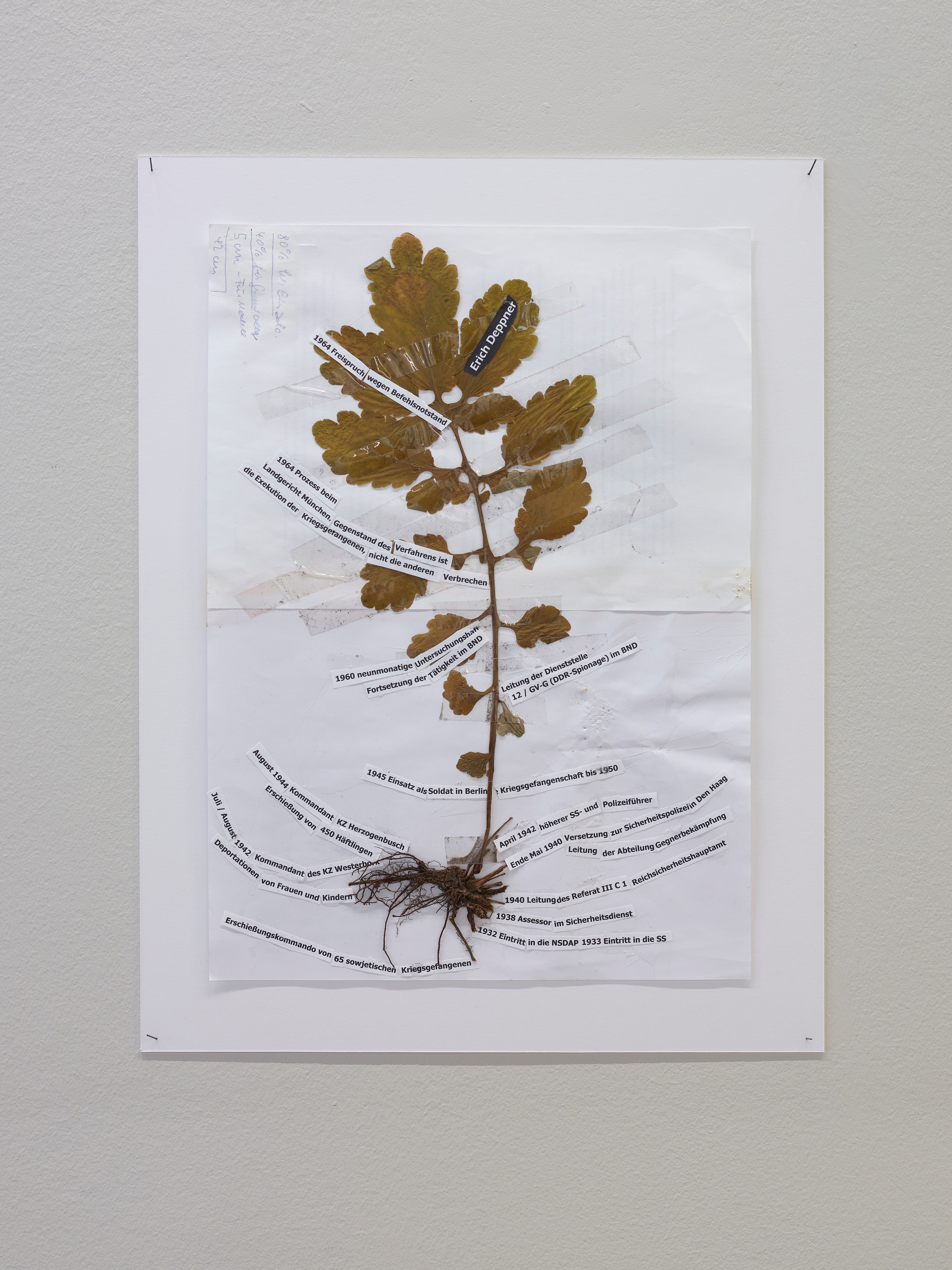 Anna Boghiguian, Alice Creischer, Eugenio Dittborn, Sophie Gogl, Goshka Macuga, Monsieur Zohore, image 15 of 19