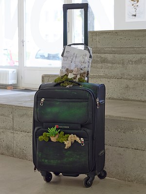 Image 6 of 19
