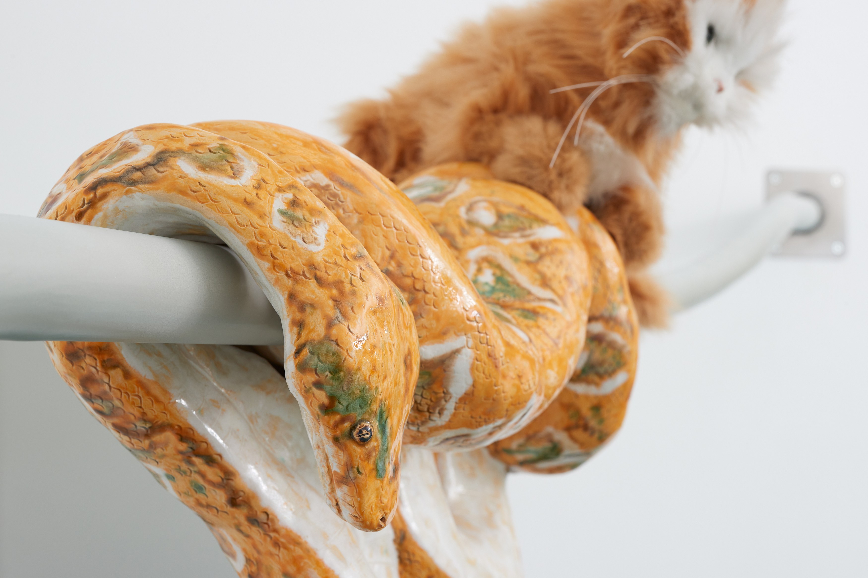 Gerrit Frohne-Brinkmann, Prop and Predator at Galerie Noah Klink, photo 11