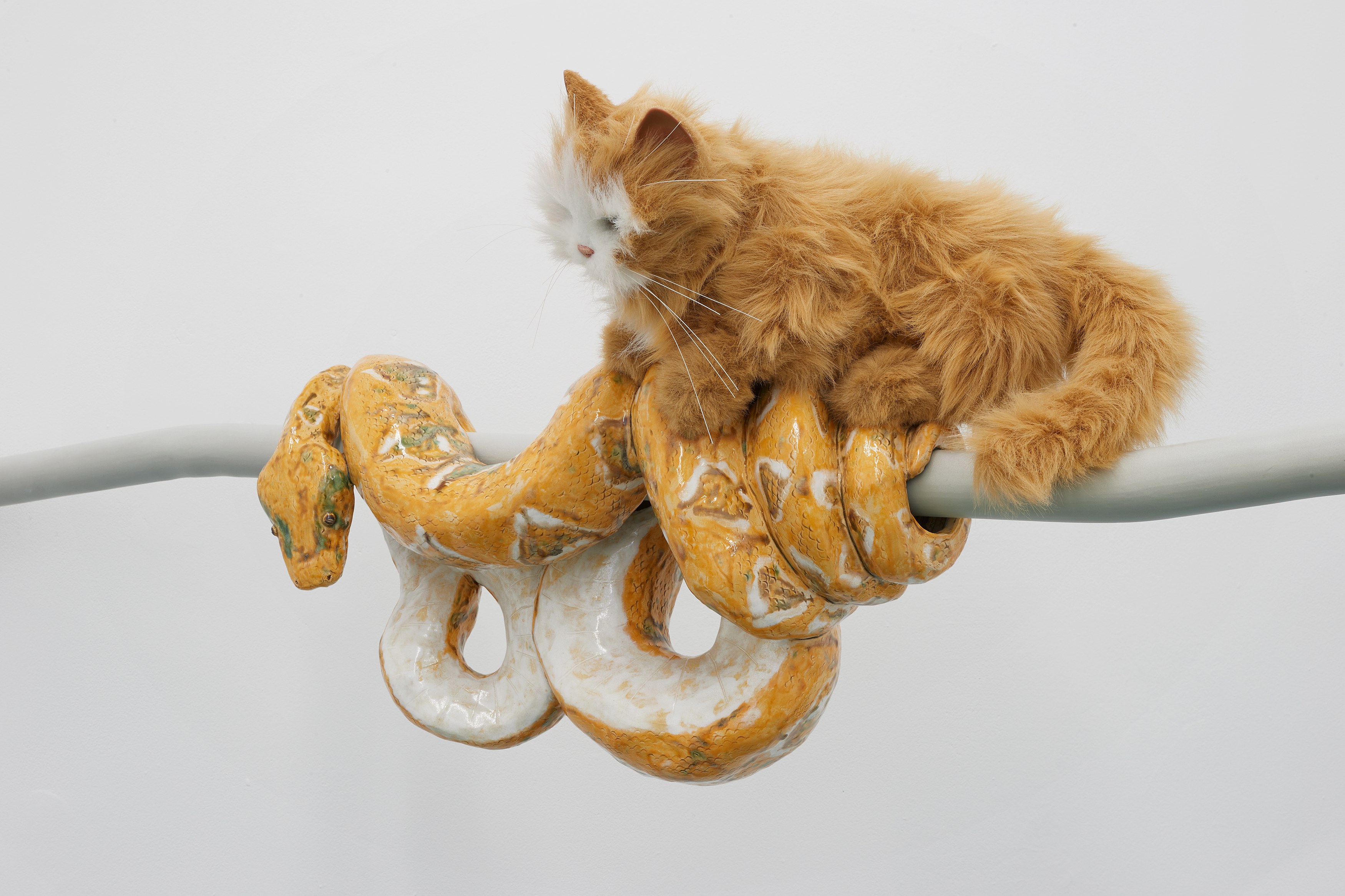 Gerrit Frohne-Brinkmann, Prop and Predator at Galerie Noah Klink, photo 12