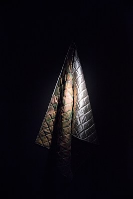Image 7 of 37