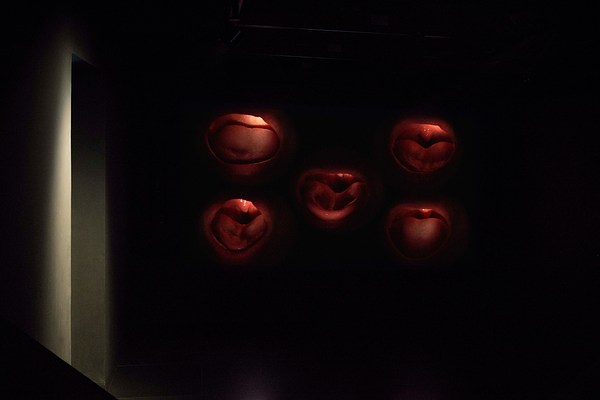 Image 17 of 45