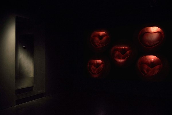 Image 20 of 45