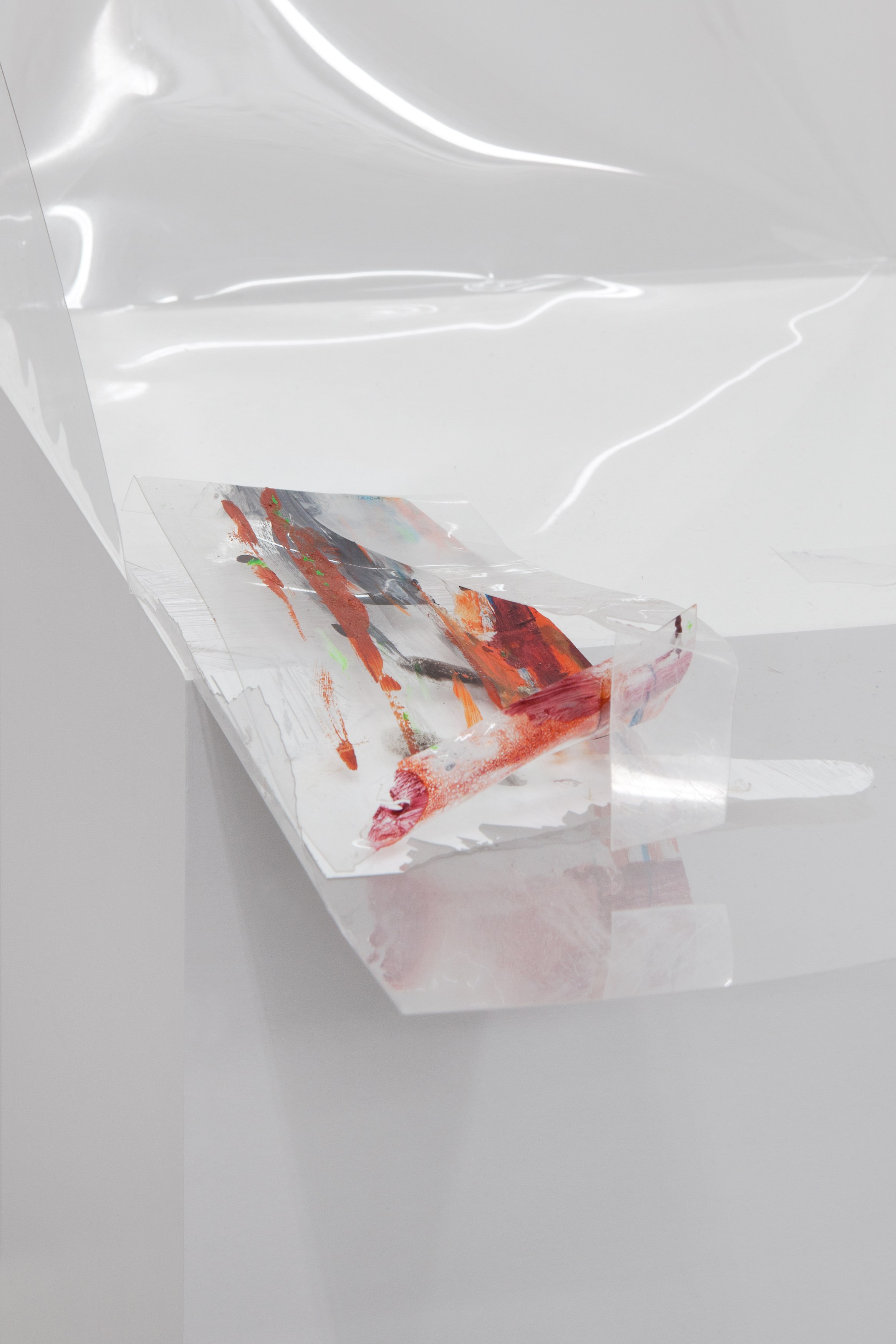 True Colors, True Colors at Trautwein Herleth, photo 15