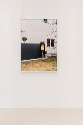 Image 6 of 21