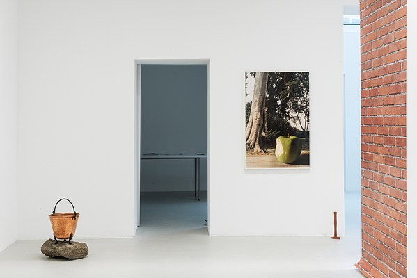 Image 7 of 21