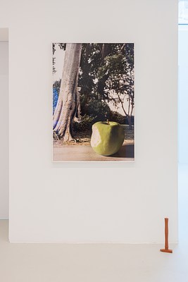 Image 9 of 21