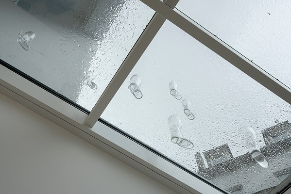 Image 13 of 21