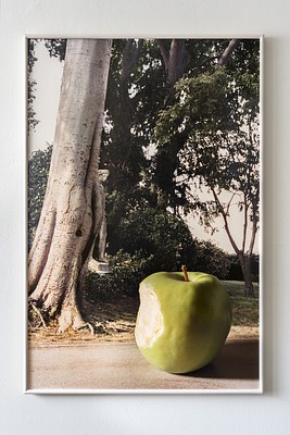 Image 19 of 21