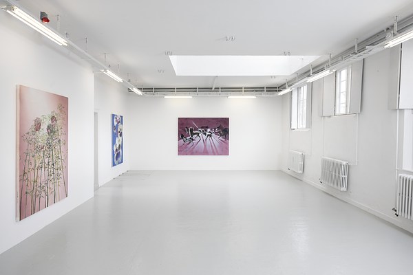 Image 5 of 17