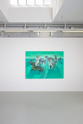 Image 7 of 17