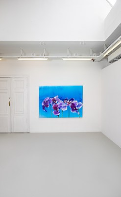 Image 8 of 17