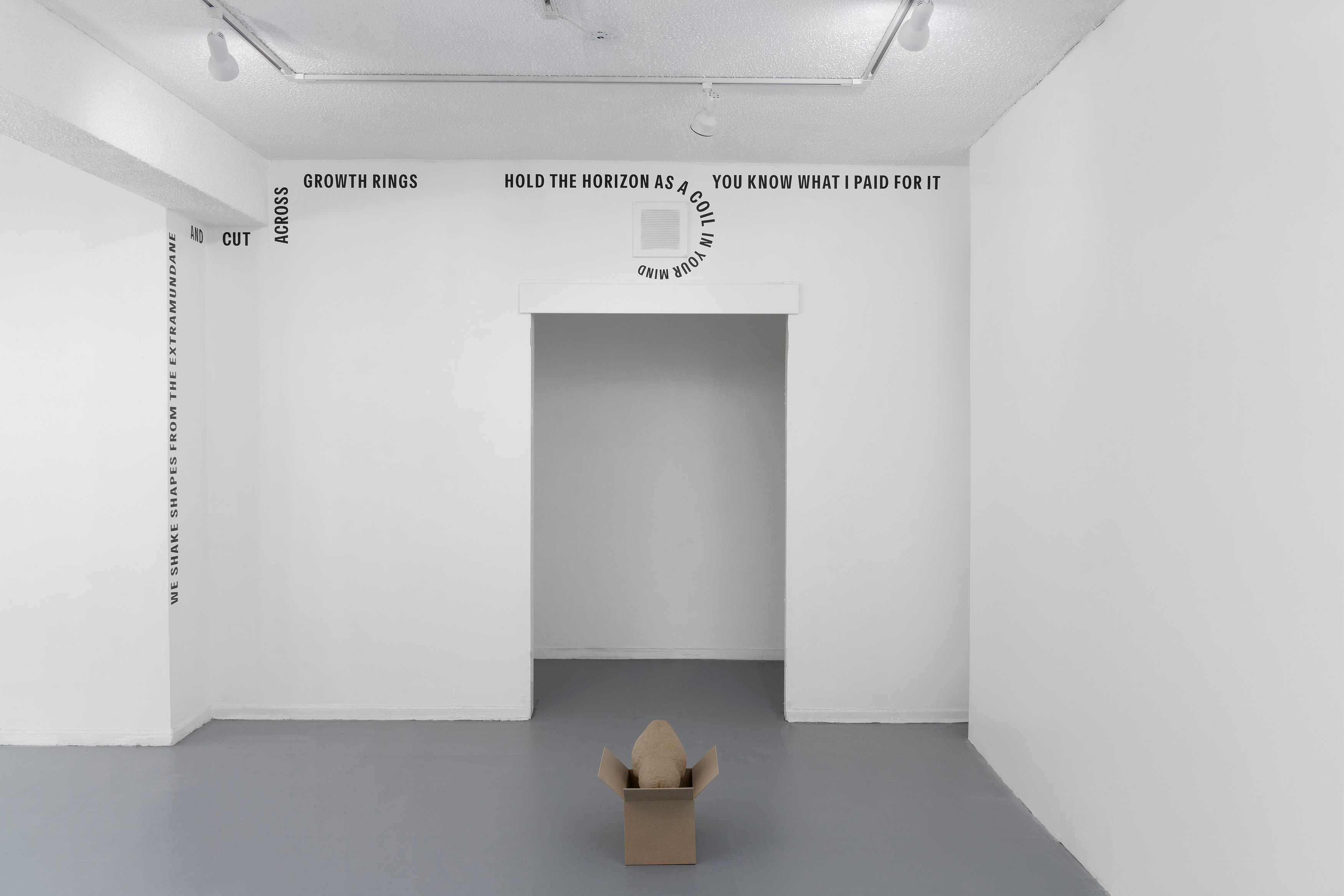 Brody Albert, Sara Ellen Fowler, Shapes from the Extramundane at Soldes, photo 2