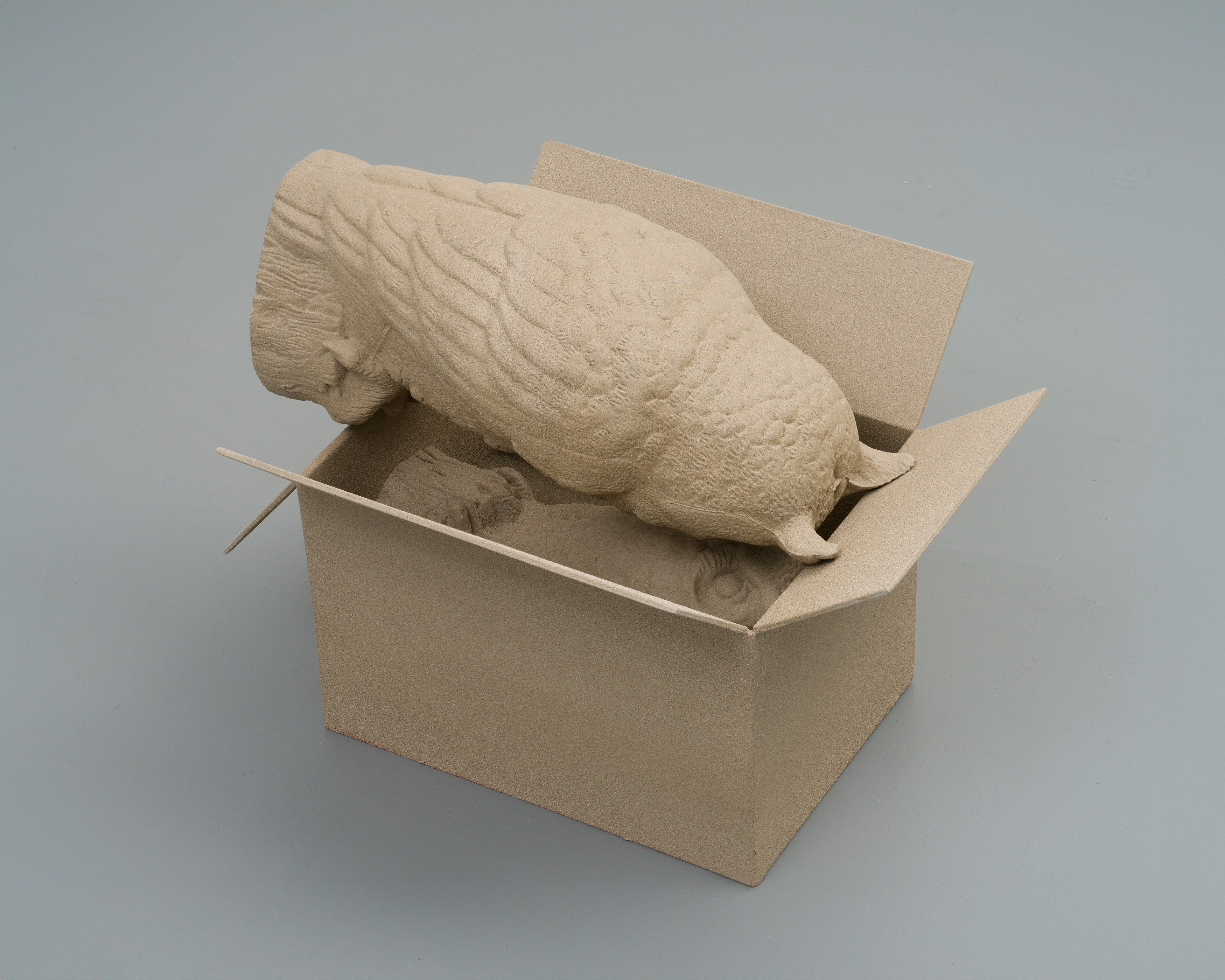 Brody Albert, Sara Ellen Fowler, Shapes from the Extramundane at Soldes, photo 7