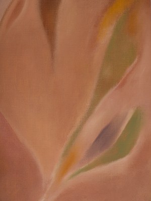Image 19 of 62