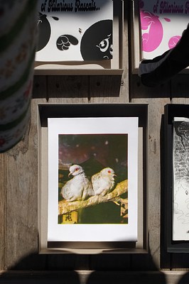 Image 8 of 20
