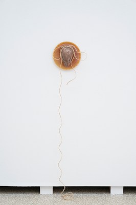 Image 11 of 47