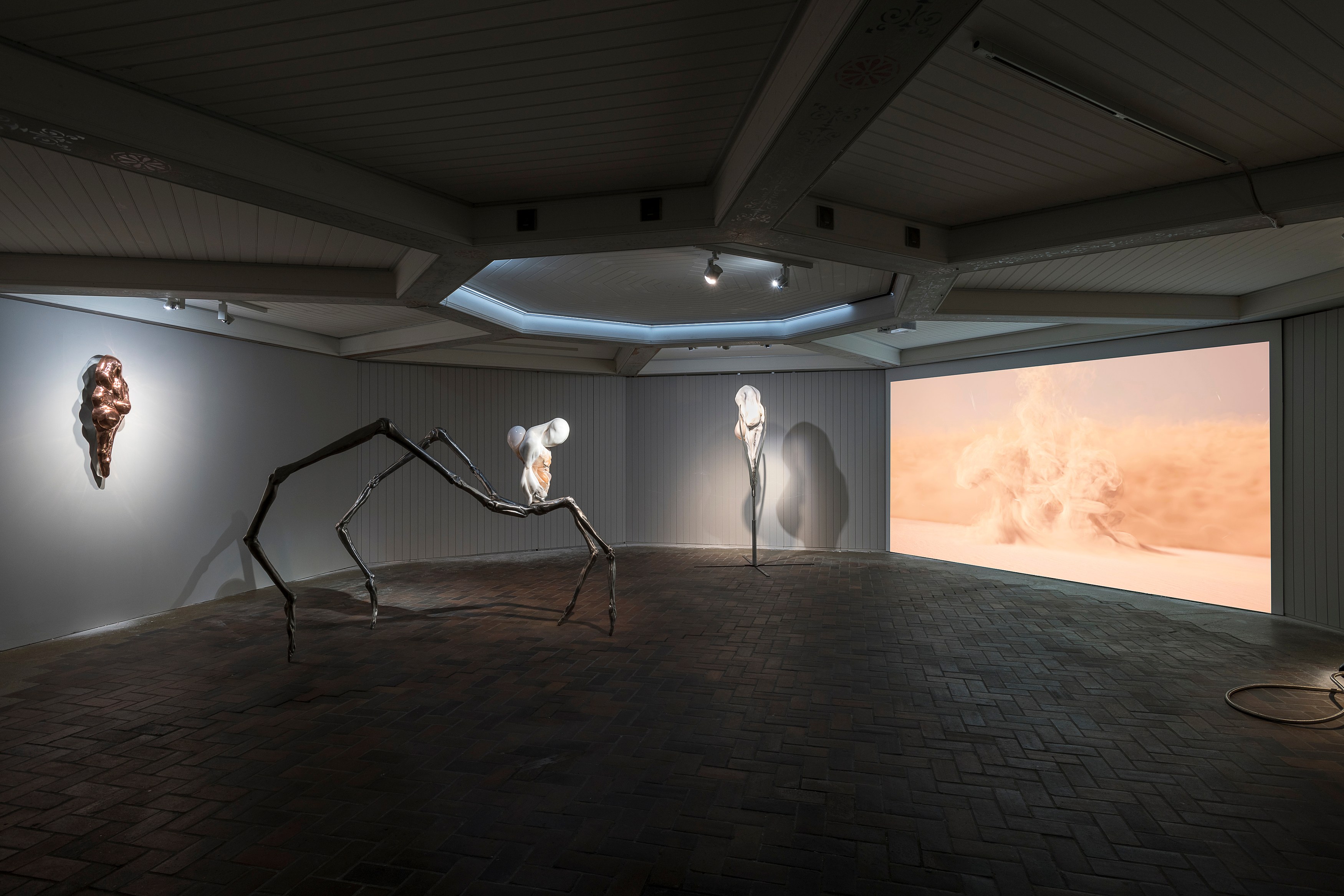 Ivana Bašić, Metempsychosis: The Passion of Pneumatics at Schinkel Pavillon, photo 2