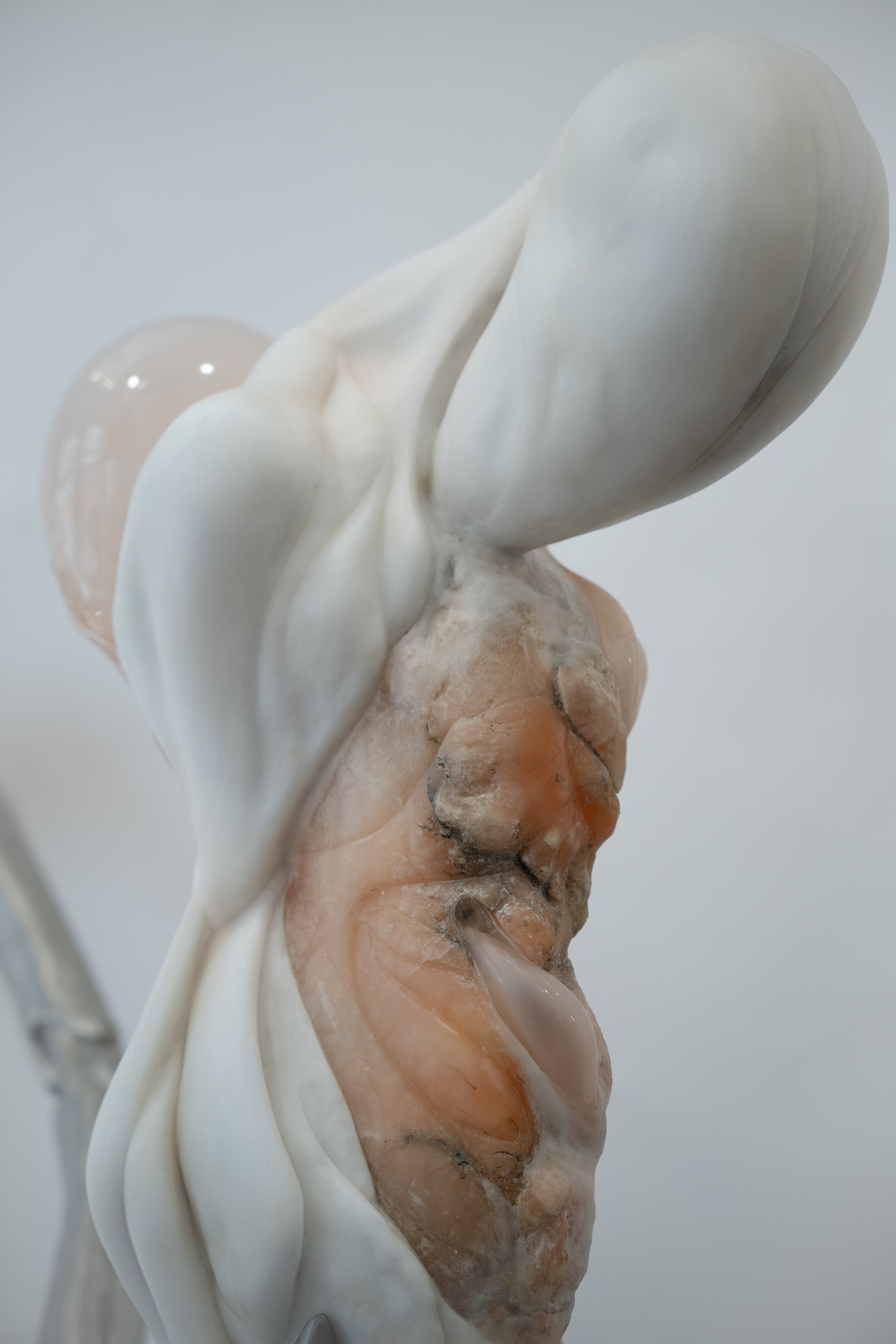 Ivana Bašić, Metempsychosis: The Passion of Pneumatics at Schinkel Pavillon, photo 8