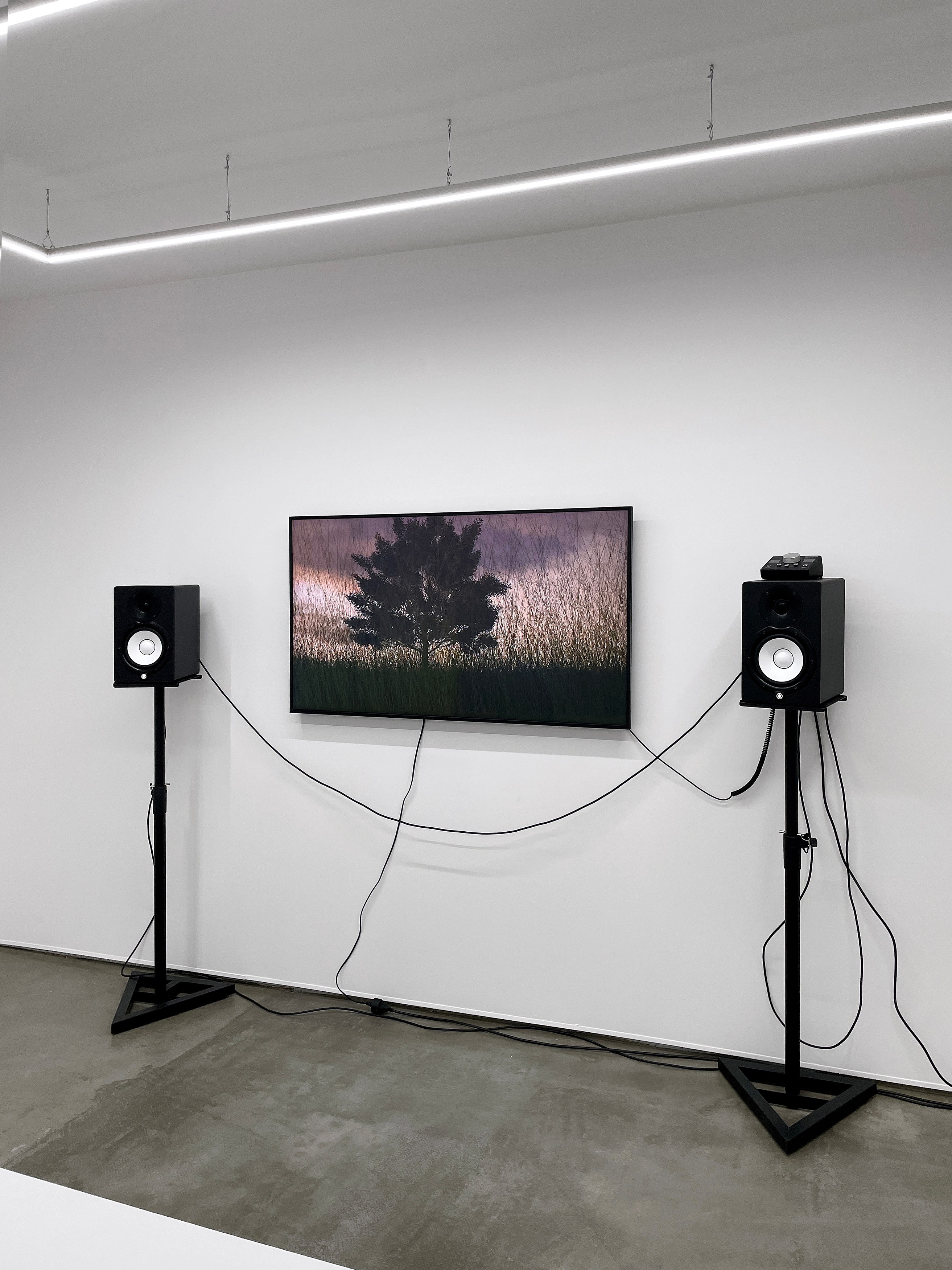 Lou Fauroux, The green lights have now faded at Exo Exo, photo 33