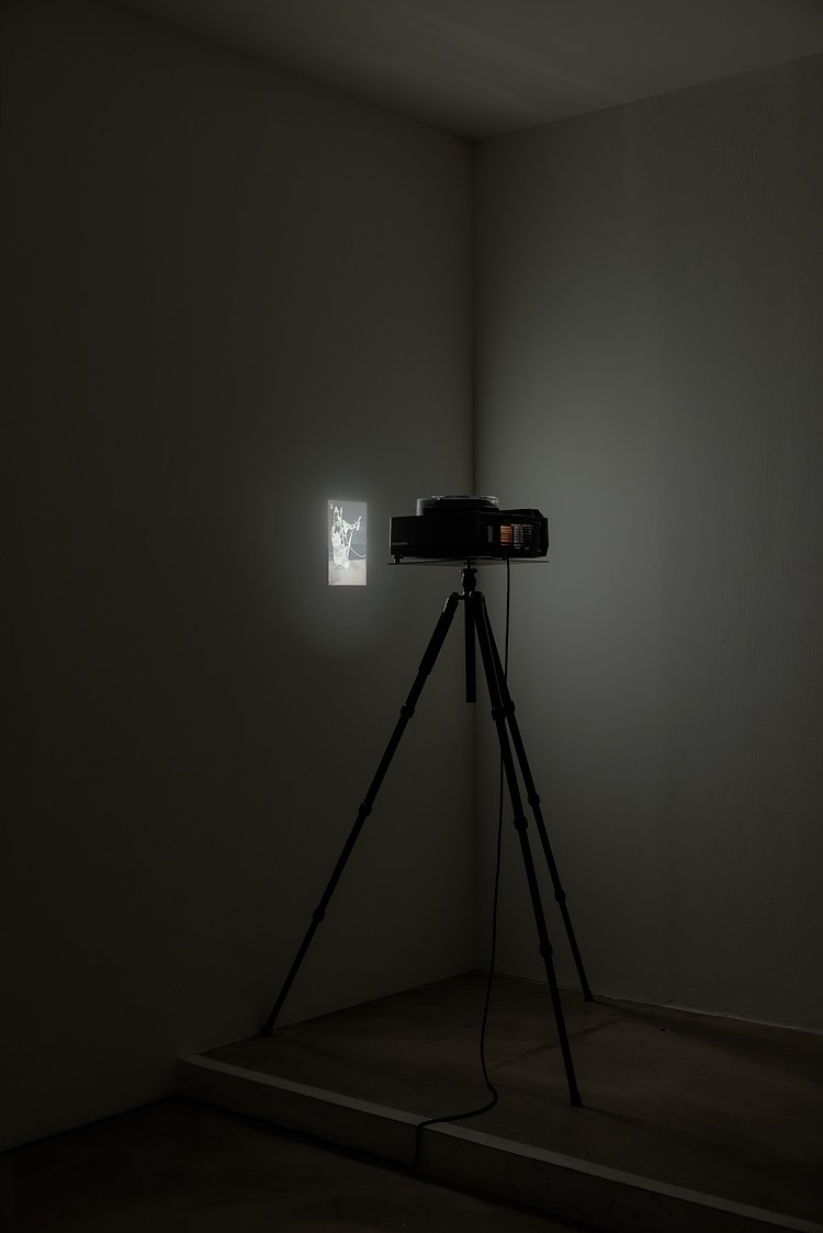 Curtis Cuffie | Contemporary Art Library