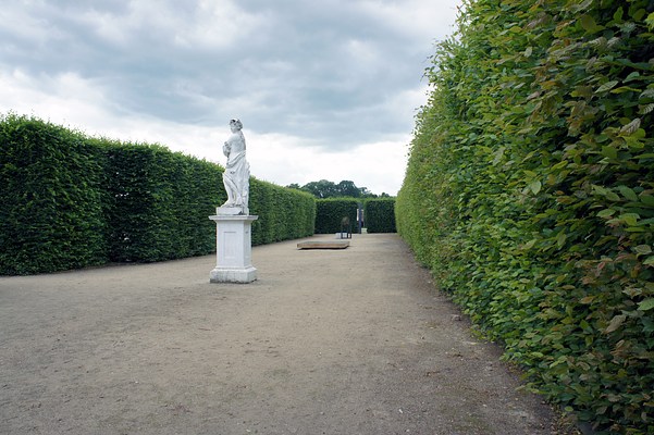 Image 9 of 54