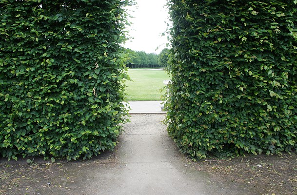 Image 19 of 54