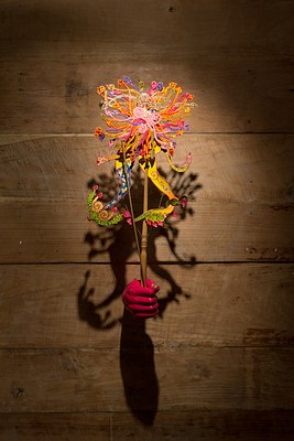 Image 41 of 75