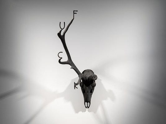 Image 5 of 7