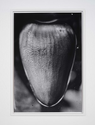 Image 9 of 29