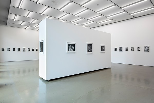 Image 19 of 29