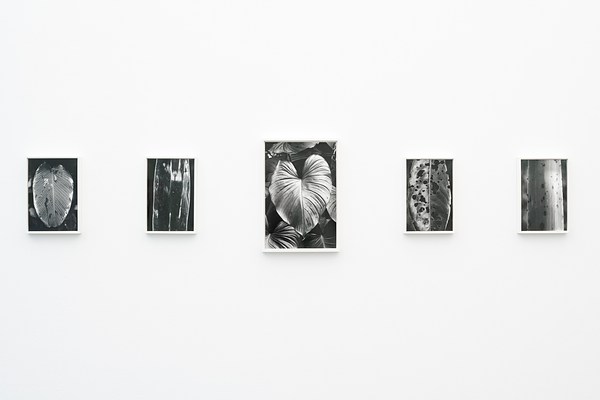 Image 11 of 29