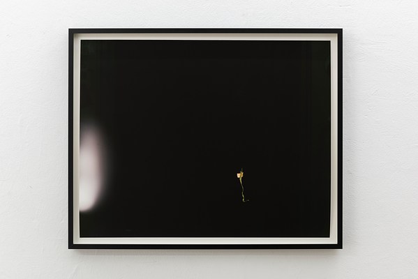 Image 17 of 28
