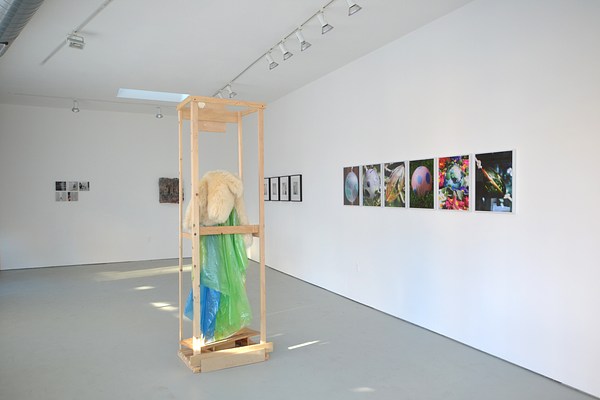 Image 2 of 20