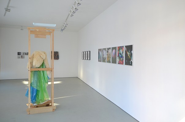 Image 4 of 20