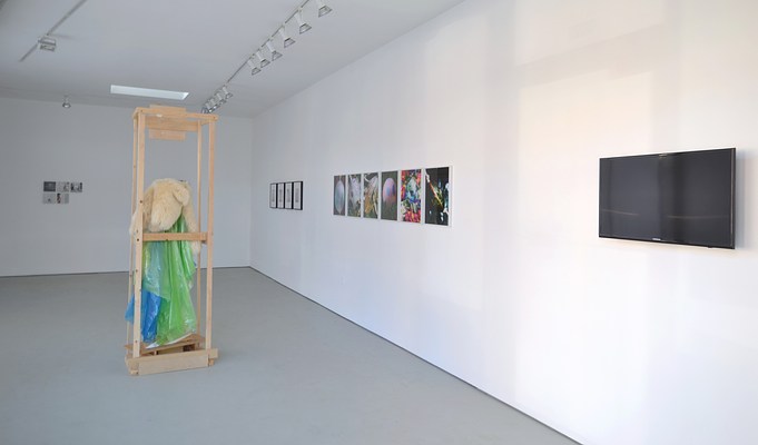 Image 3 of 20