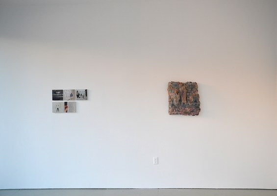 Image 8 of 20