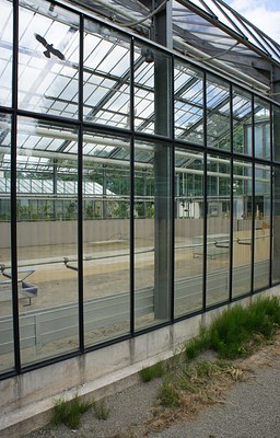 Image 4 of 48