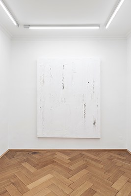 Image 21 of 45
