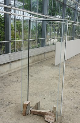 Image 12 of 48