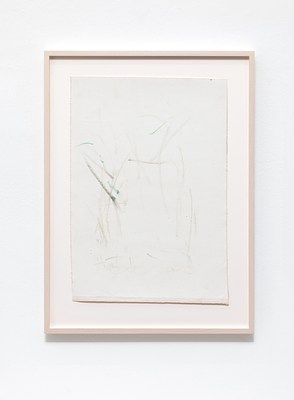 Image 17 of 21