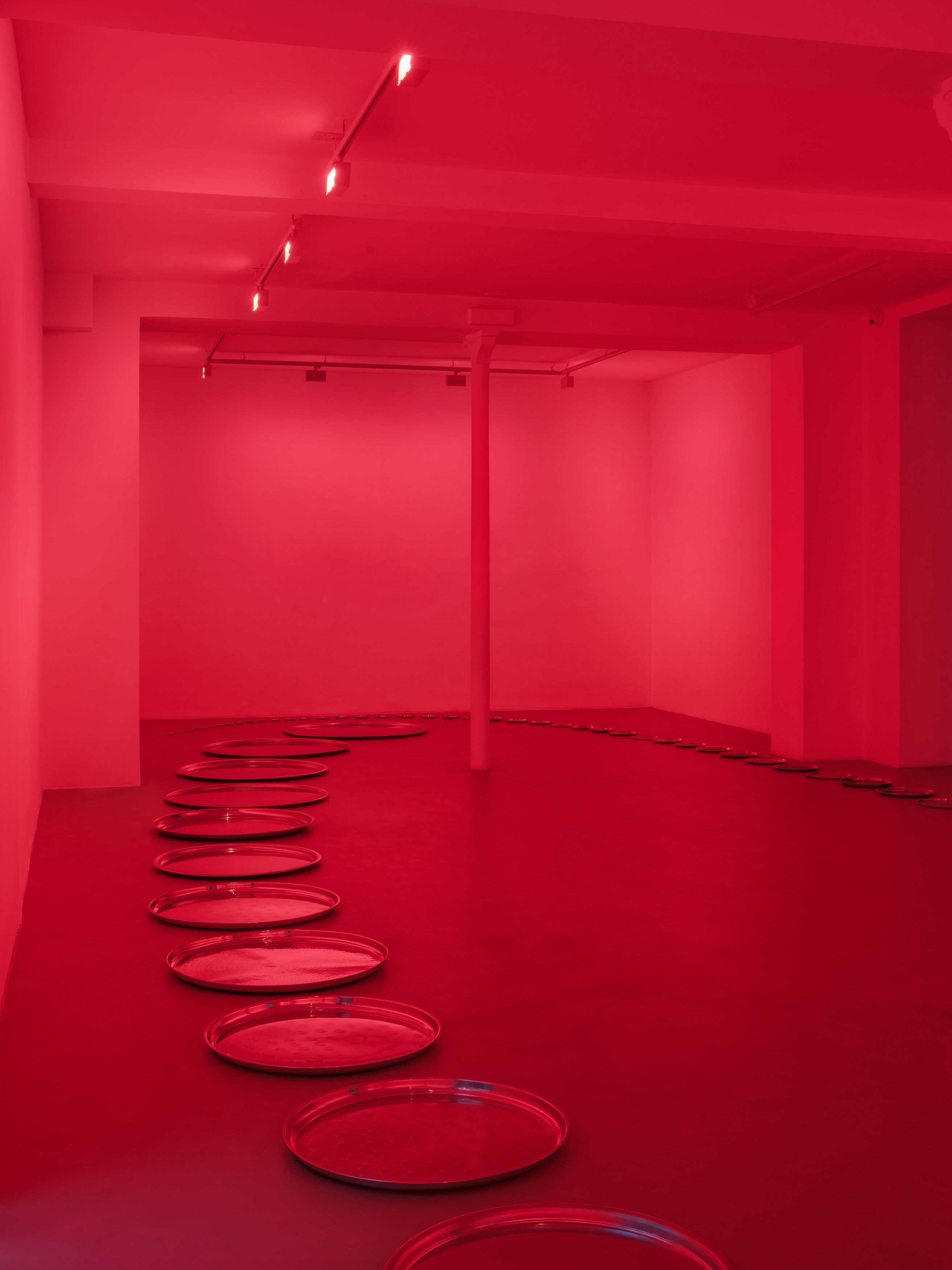 Yuki Kimura, Time Paradox at Galerie Chantal Crousel, photo 2