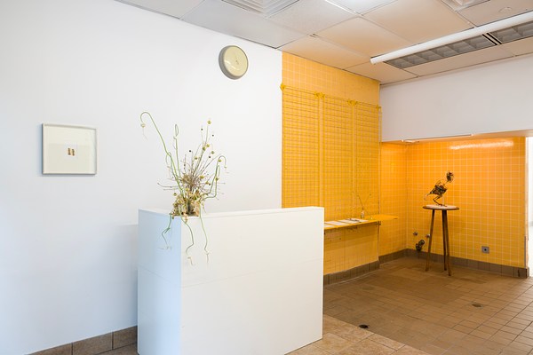 Image 1 of 44