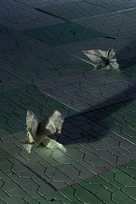 Image 9 of 23