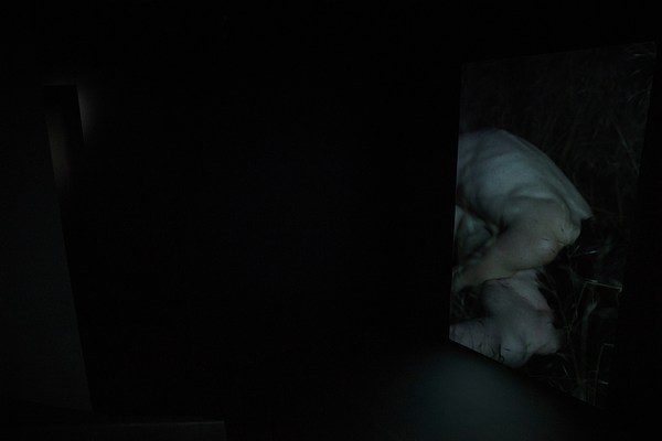 Image 1 of 11