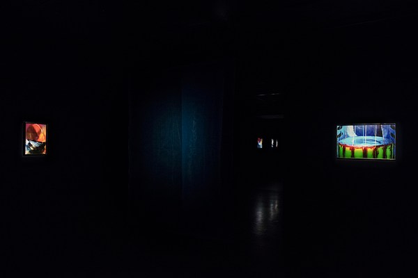 Image 2 of 9