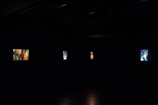 Image 5 of 9