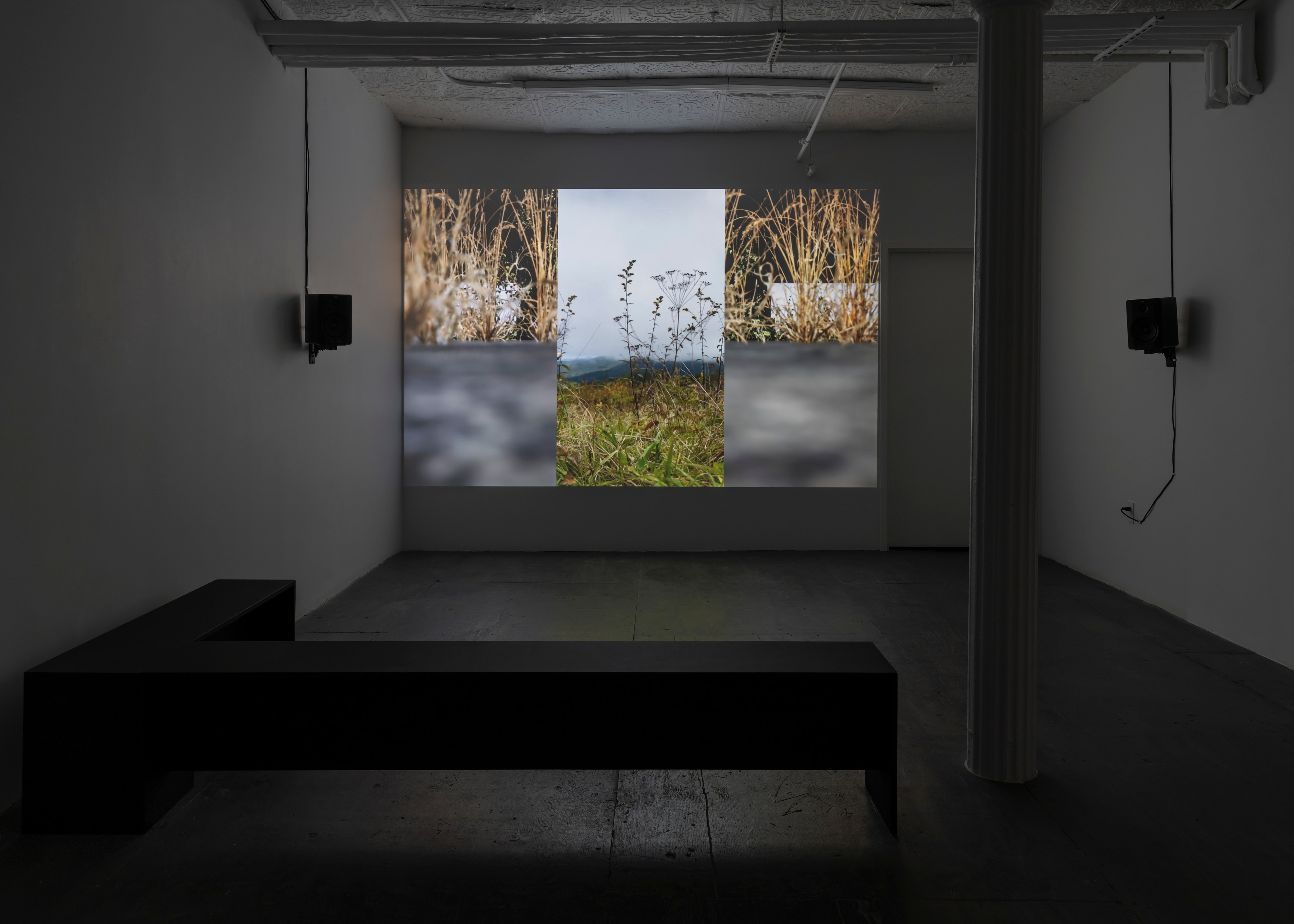Installation view 8