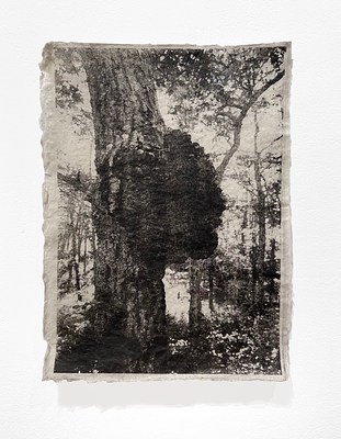 Image 19 of 31